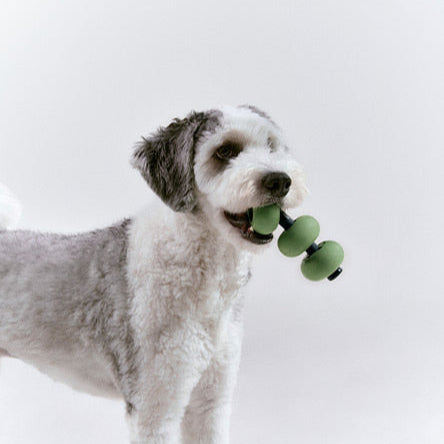 Dango Puzzle Toy Basic