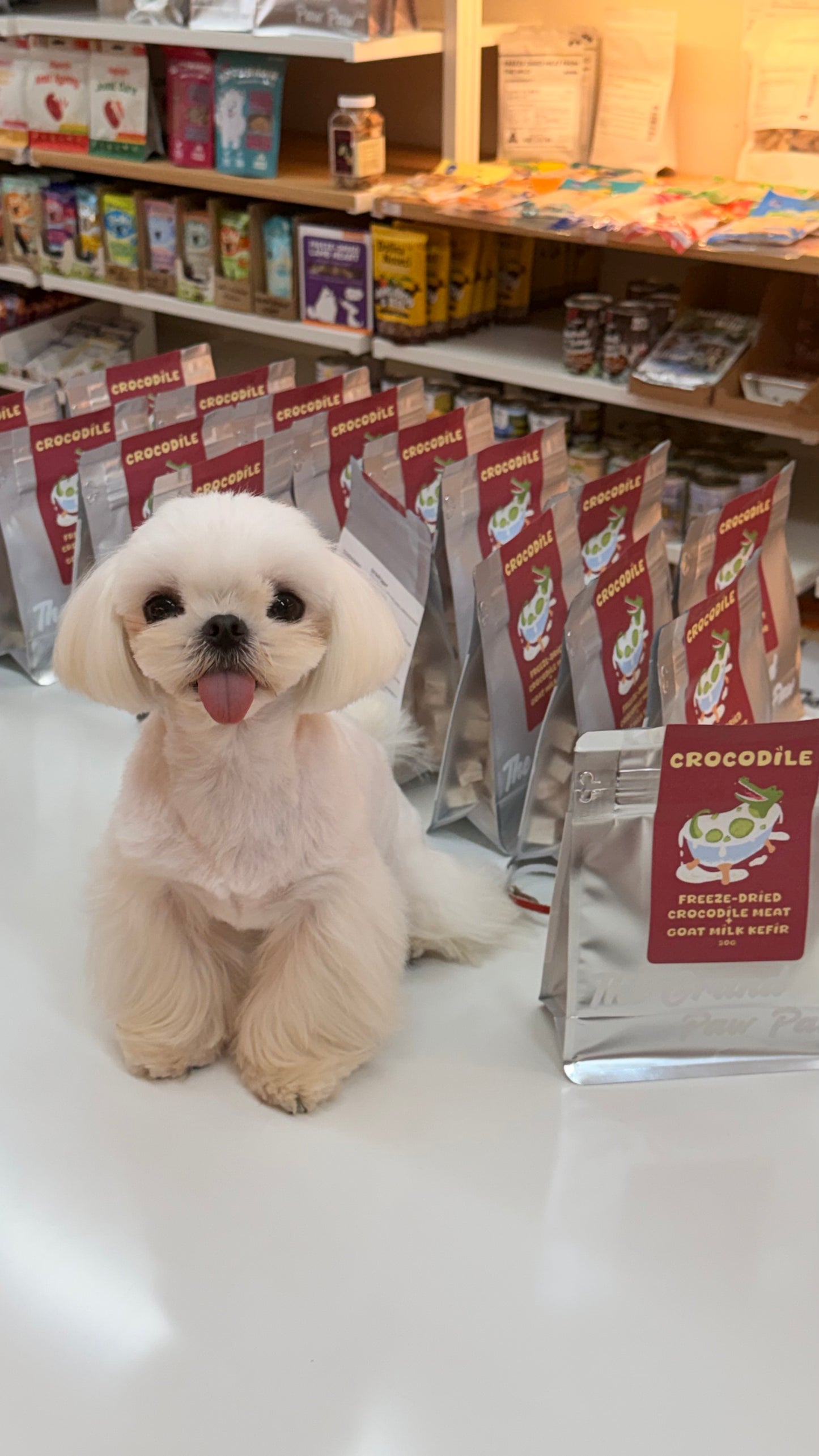 TheGrandPawPaw Freeze-Dried Crocodile+Goat Milk Kefir 50g