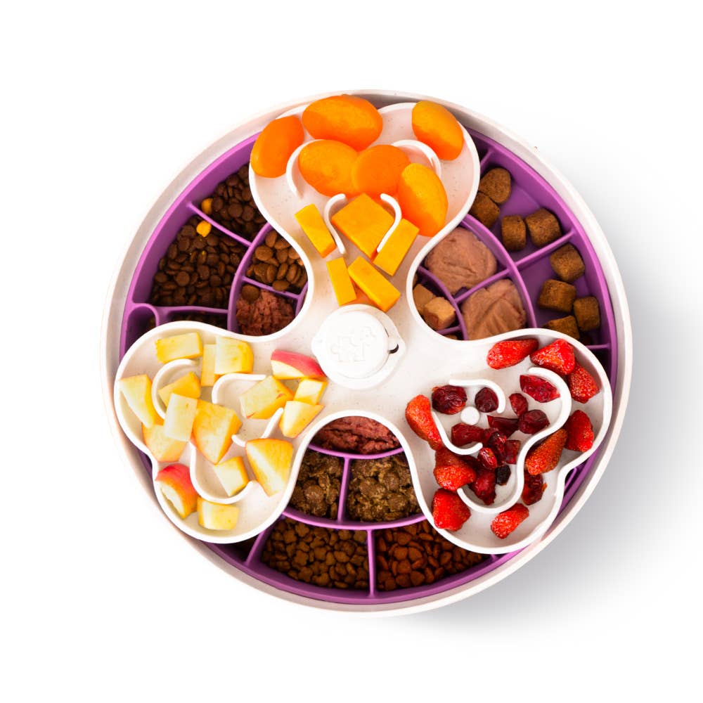 Slower than a Slow Feeder Puzzle Feeder Swirl