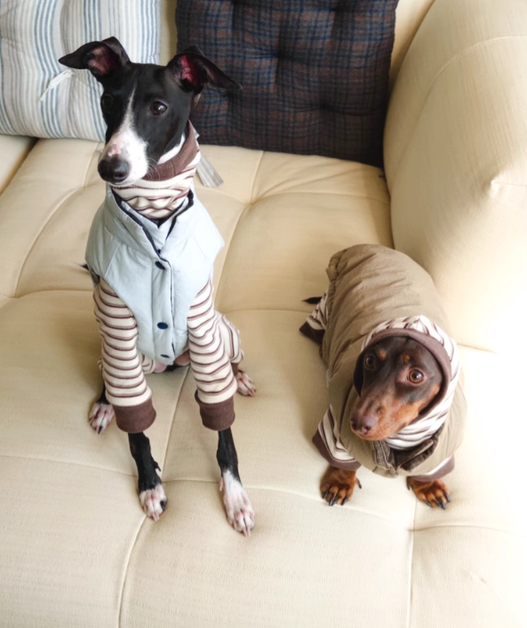 Achin Action Plaid 3M Cotton-Padded Vest Navy