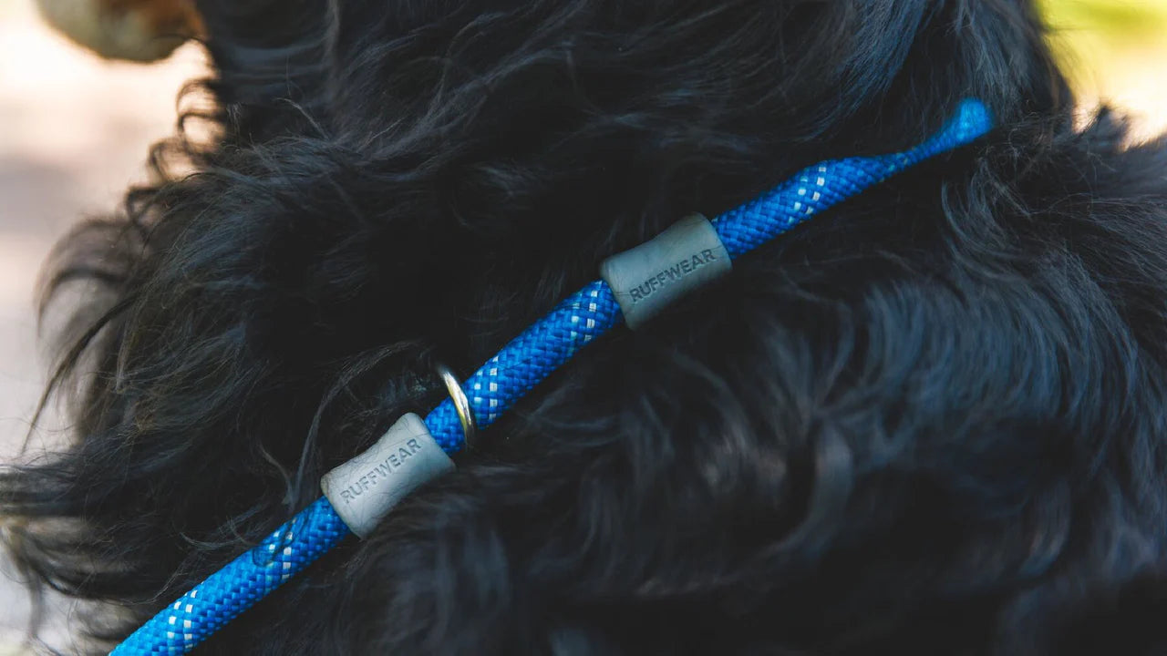 Just-a-Cinch™ Dog Lead