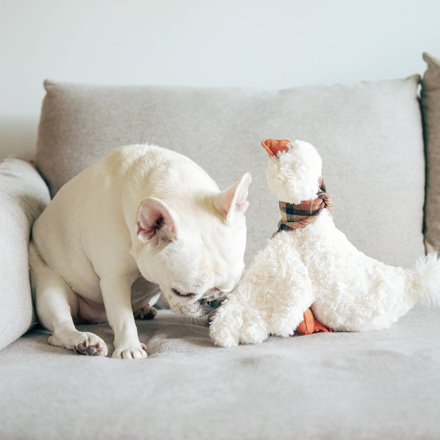 GUS // ENRICHMENT DOG TOY // Cuddle + Plush Toy