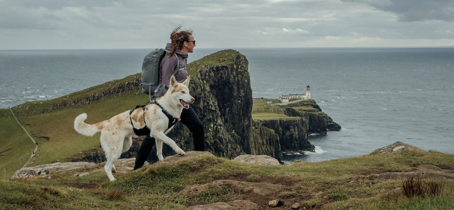 Ruffwear RIDGELINE Harness Obsidian Black