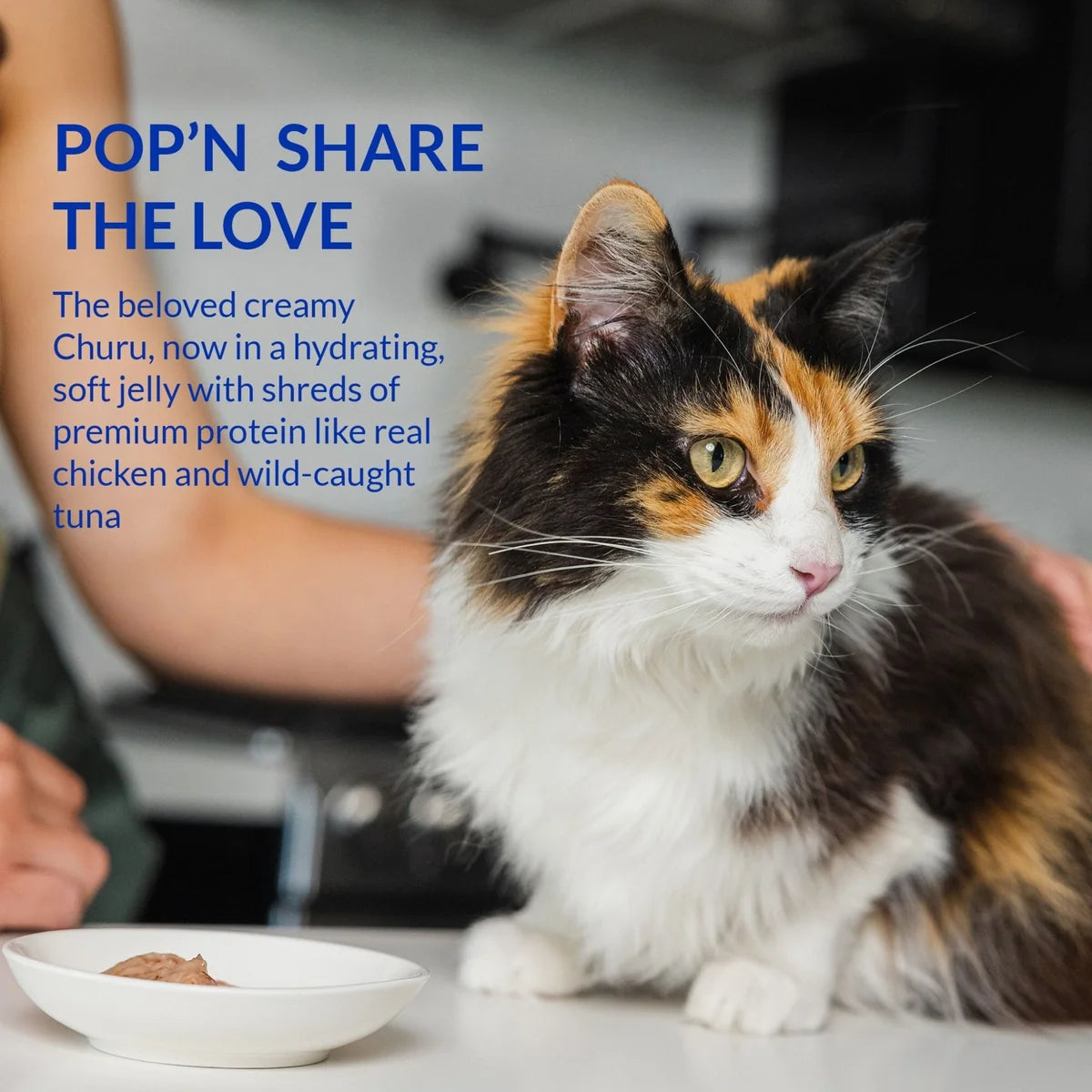 INABA Churu Pops&Serve for Cats 35g*10