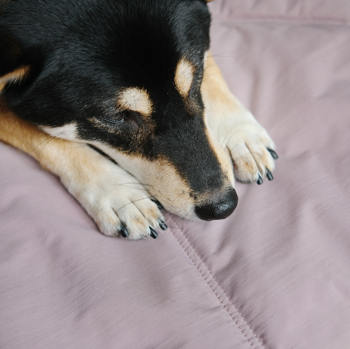 ORII | Ultralight Pet Travel Mat