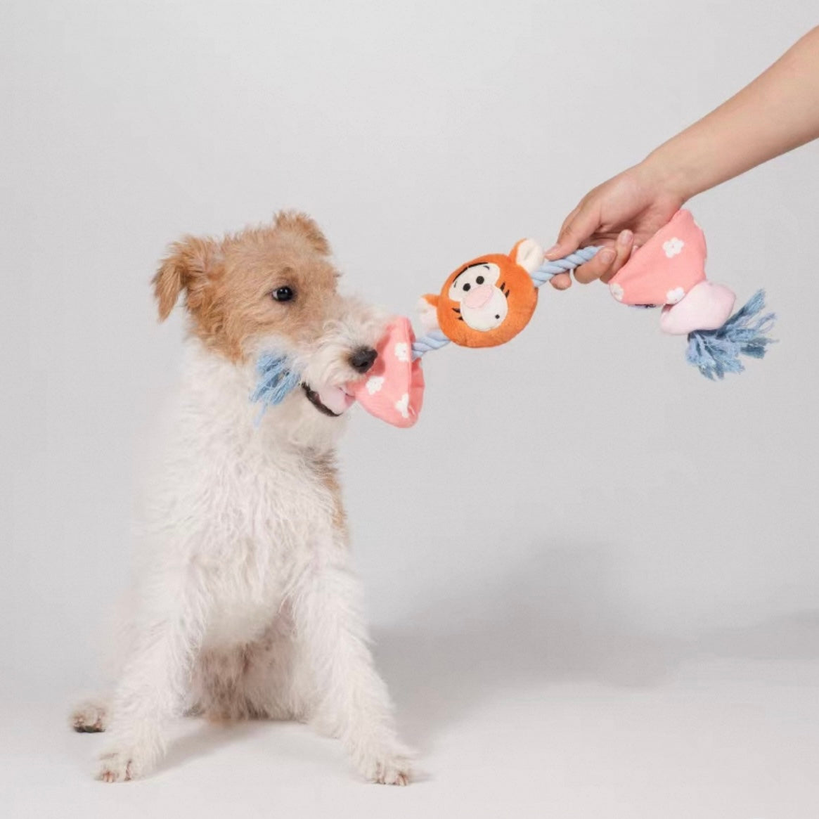 Petsville X Winnie the Pooh Candy Rope Toy