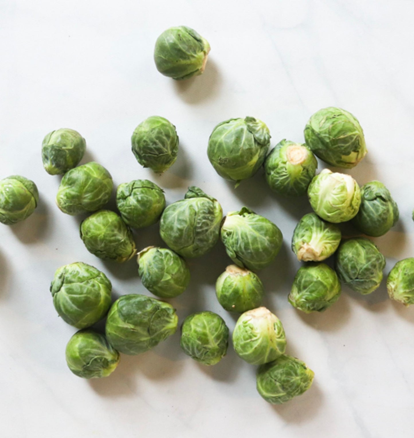 MarumiPet Freeze-Dried Brussels Sprout 40g