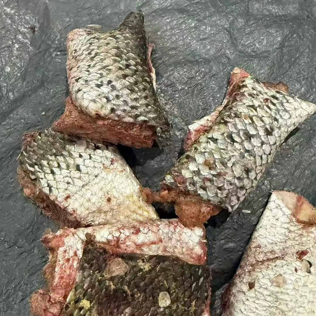 Freeze Dried Enrichment Salmon Skin Twist 60g