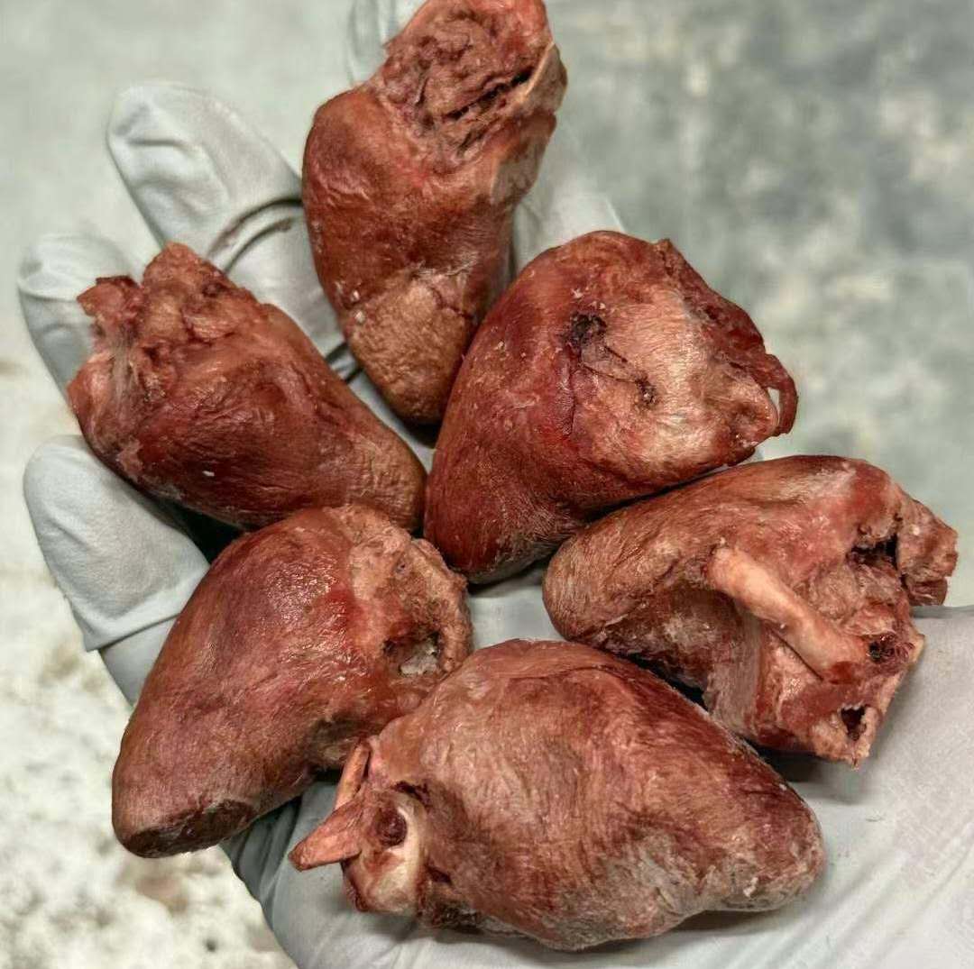 MAYBO Freeze-Dried Duck Heart 60g