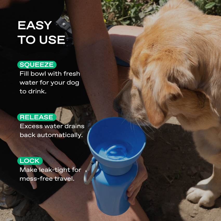 Springer Pets Flip Travel Bottle 590ml