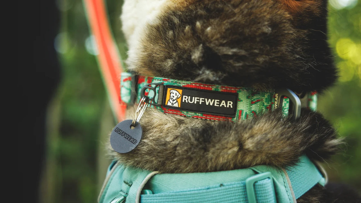 Ruffwear Crag Reflective Collar