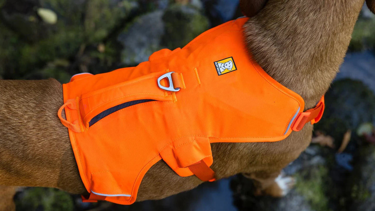 Ruffwear Web Master Dog Harness with Handle