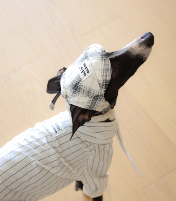 Achin Action Plaid Baseball Cap White