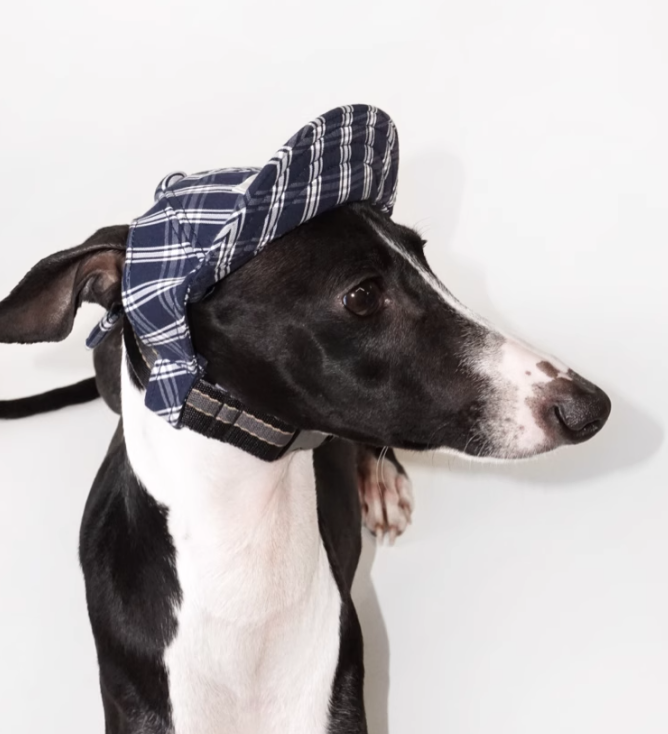 Achin Action Plaid Baseball Cap Navy