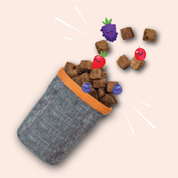 Naturawr Very Berry for Dogs 50g