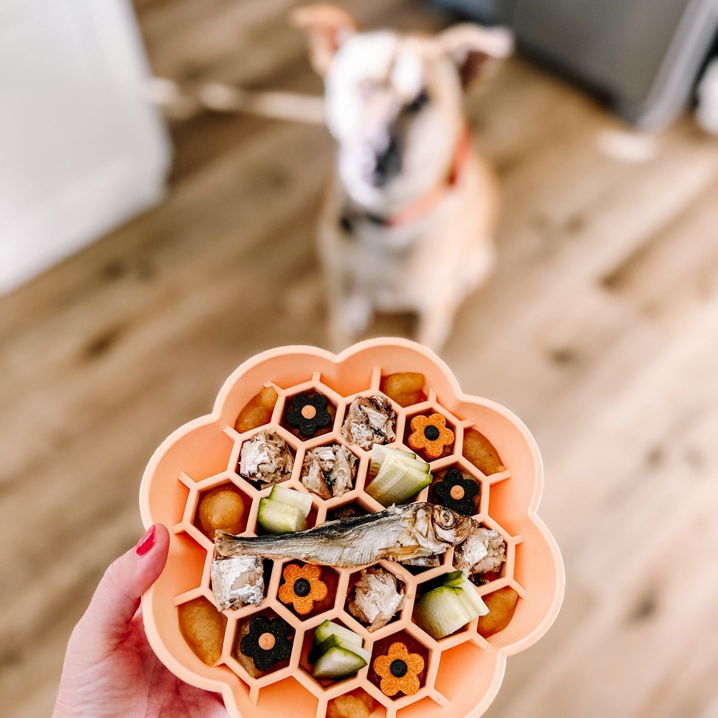 Honey Slow Feeder Peach