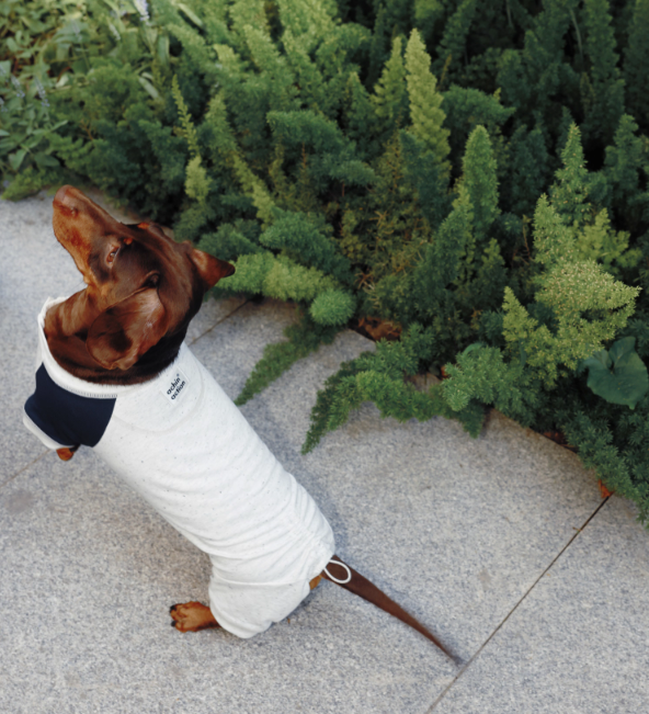 LG Series UPF50+ Anti-Bacterial Cooling Four-Legged Suit