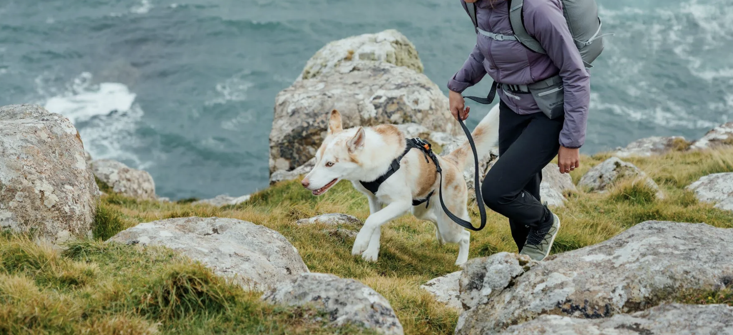 Ruffwear RIDGELINE Leash Obsidian Black