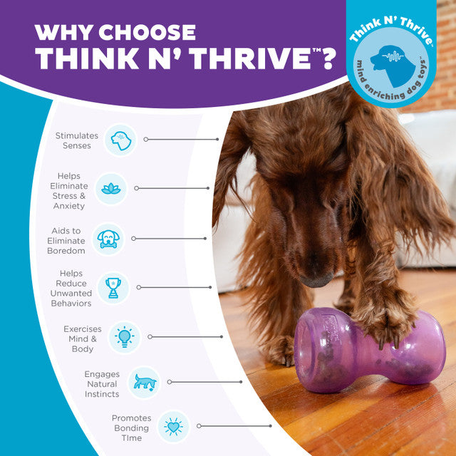 Double-Snoop Interactive Treat Stuffer Toy