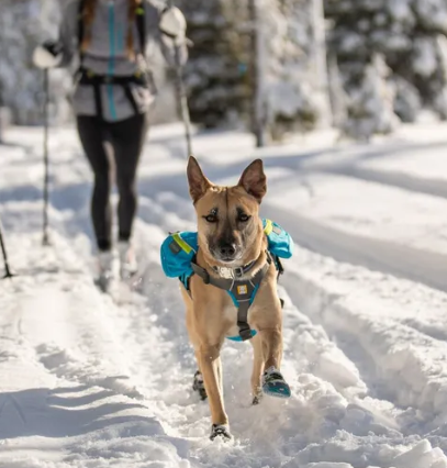 Ruffwear Polar Trex Shoes