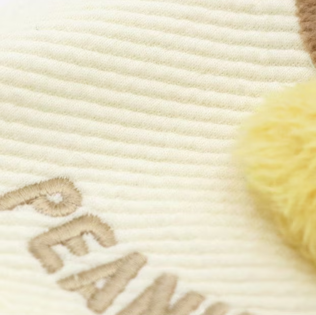 Snoopy Friends Hoodie