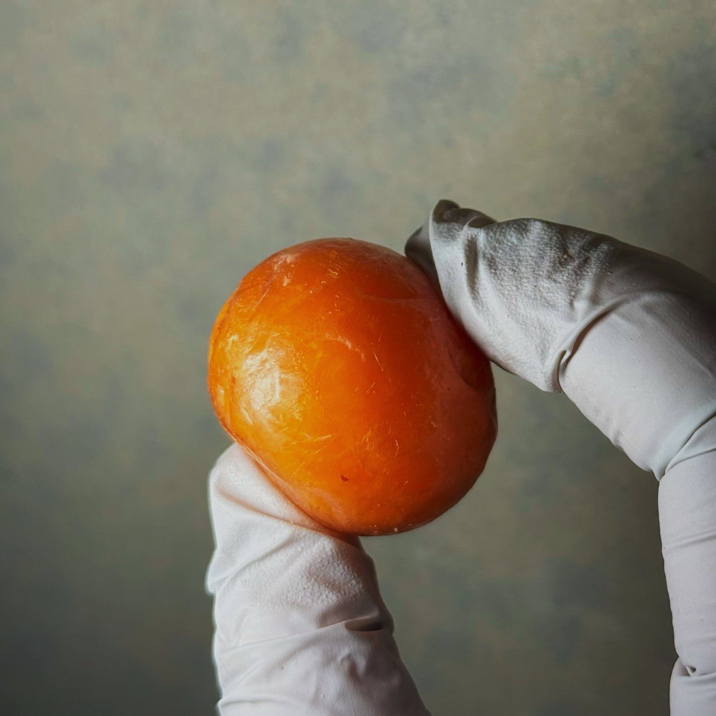 MAYBO Freeze-Dried Chochin 30g