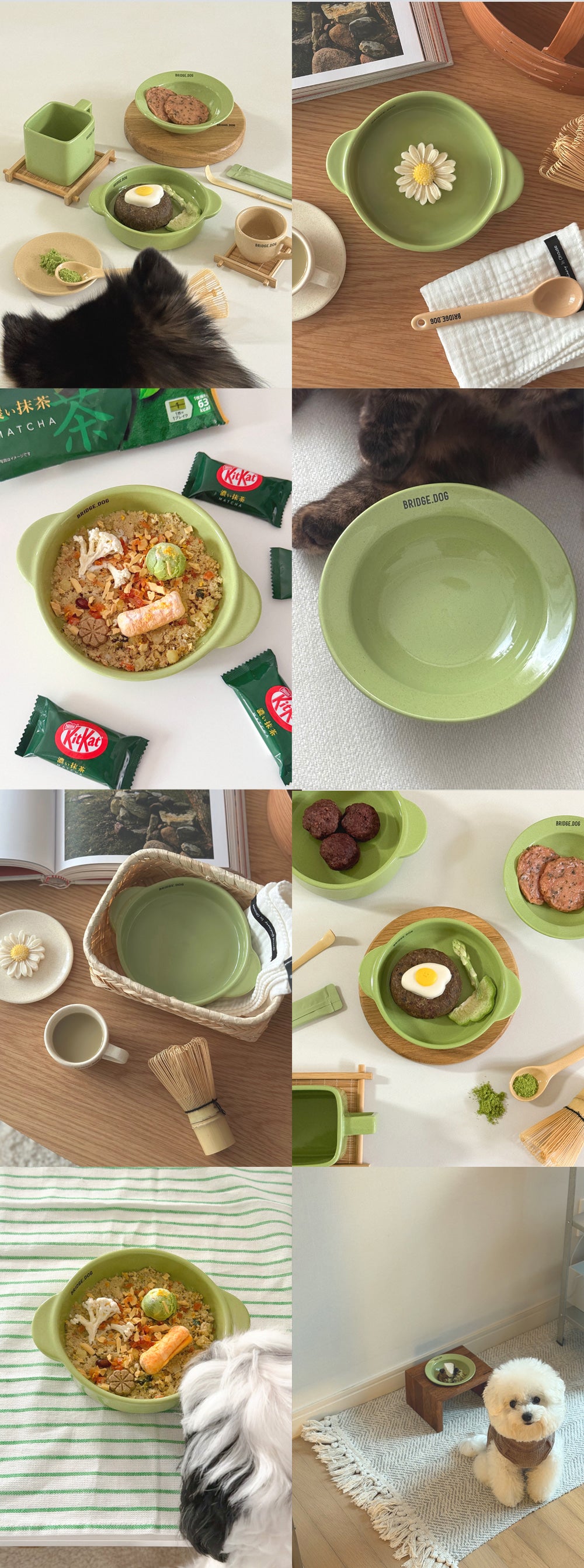 Bridge Dog Bridge Matcha Limited Edition