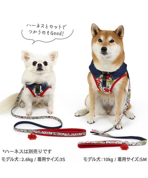 Snoopy Red House Lead