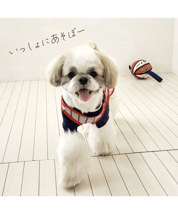 Snoopy Basketball Toy with Tab