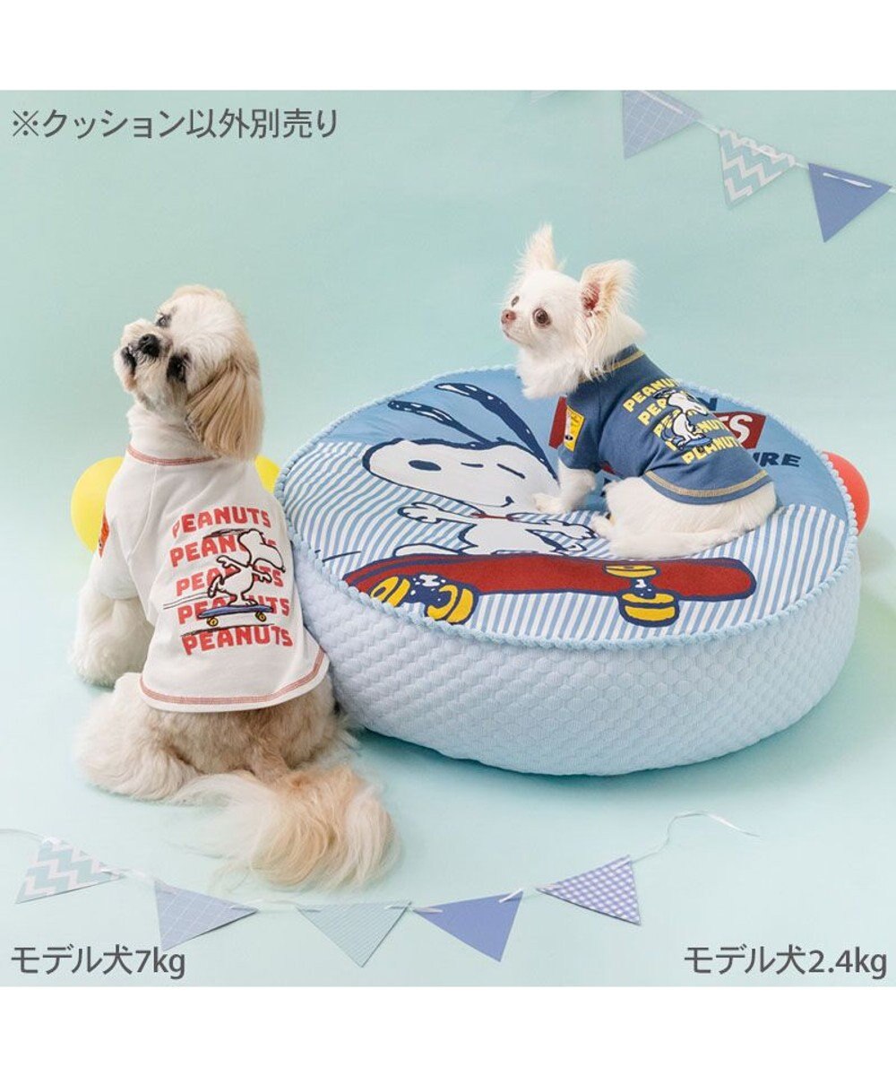 Snoopy Skateboard Cushion Cooling Bed