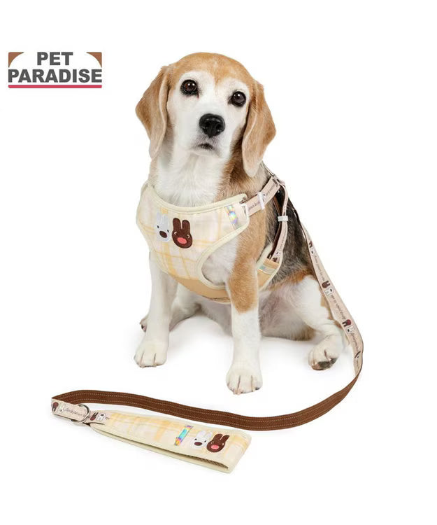 Lisa and Gaspard Harness & Leash Set