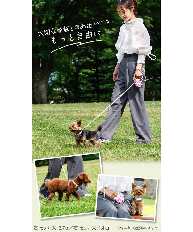 Little Strawberry Retractable Pet Leash