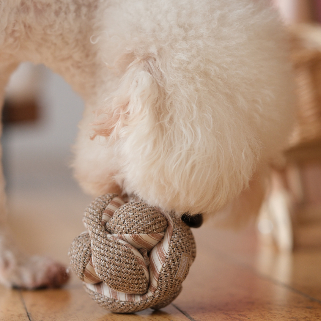 MINI MONTI // ENRICHMENT DOG TOY // SNUFFLE TOY // 2 Color