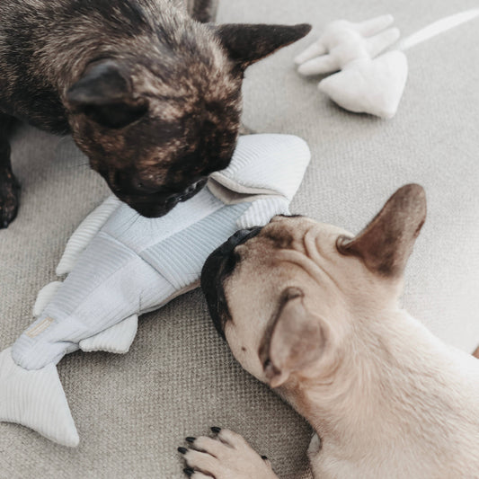 TROUT // ENRICHMENT DOG TOY // SNUFFLE TOY