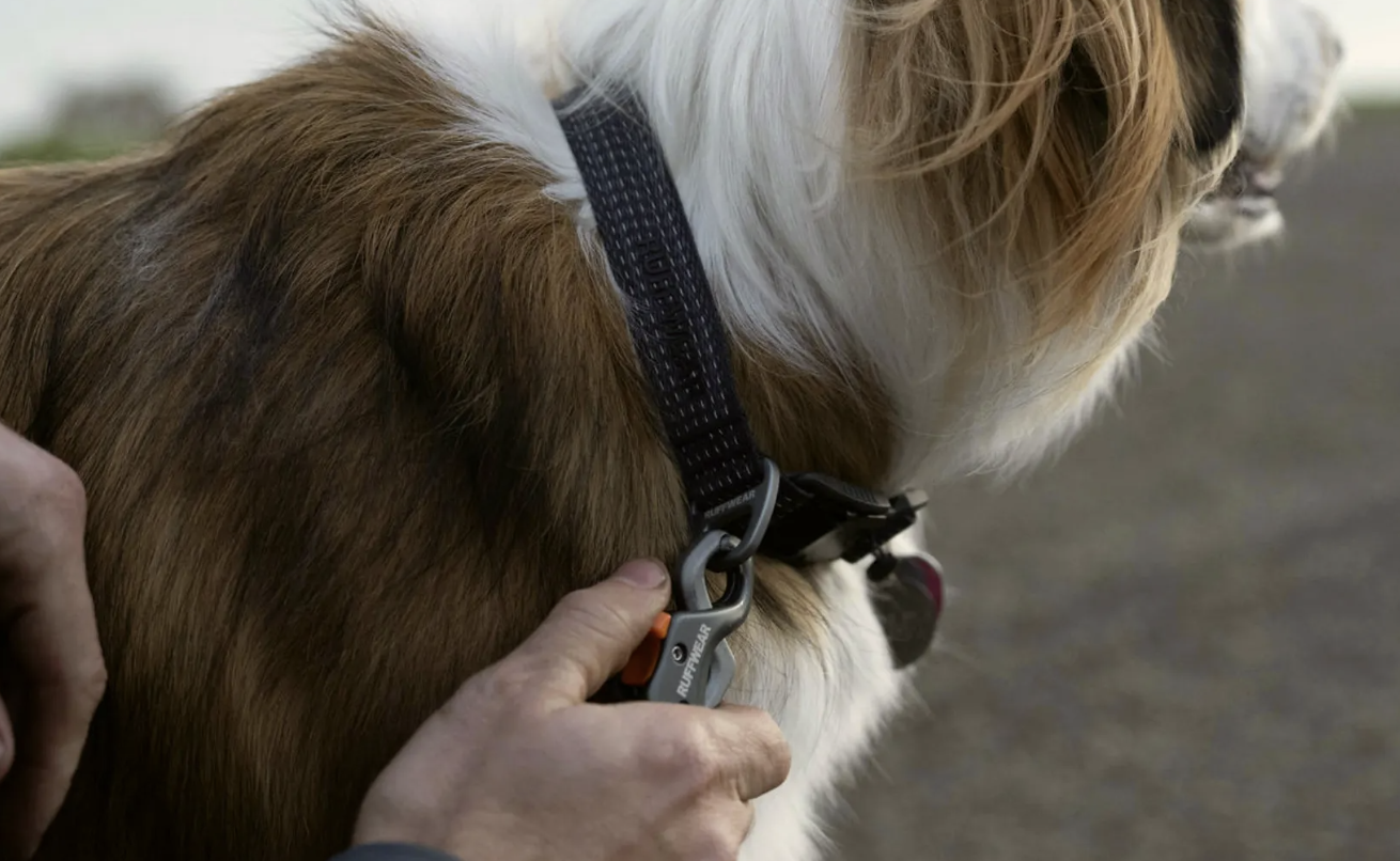 Ruffwear RIDGELINE Collar Obsidian Black