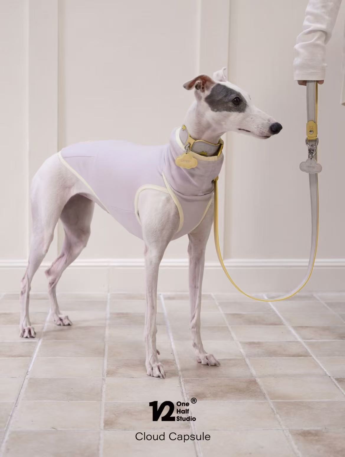 The Cloud Capsule Leather Pet Collar