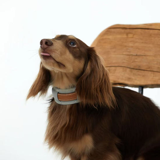 French Lambskin Leather Collar Set Miel & Gris Agate