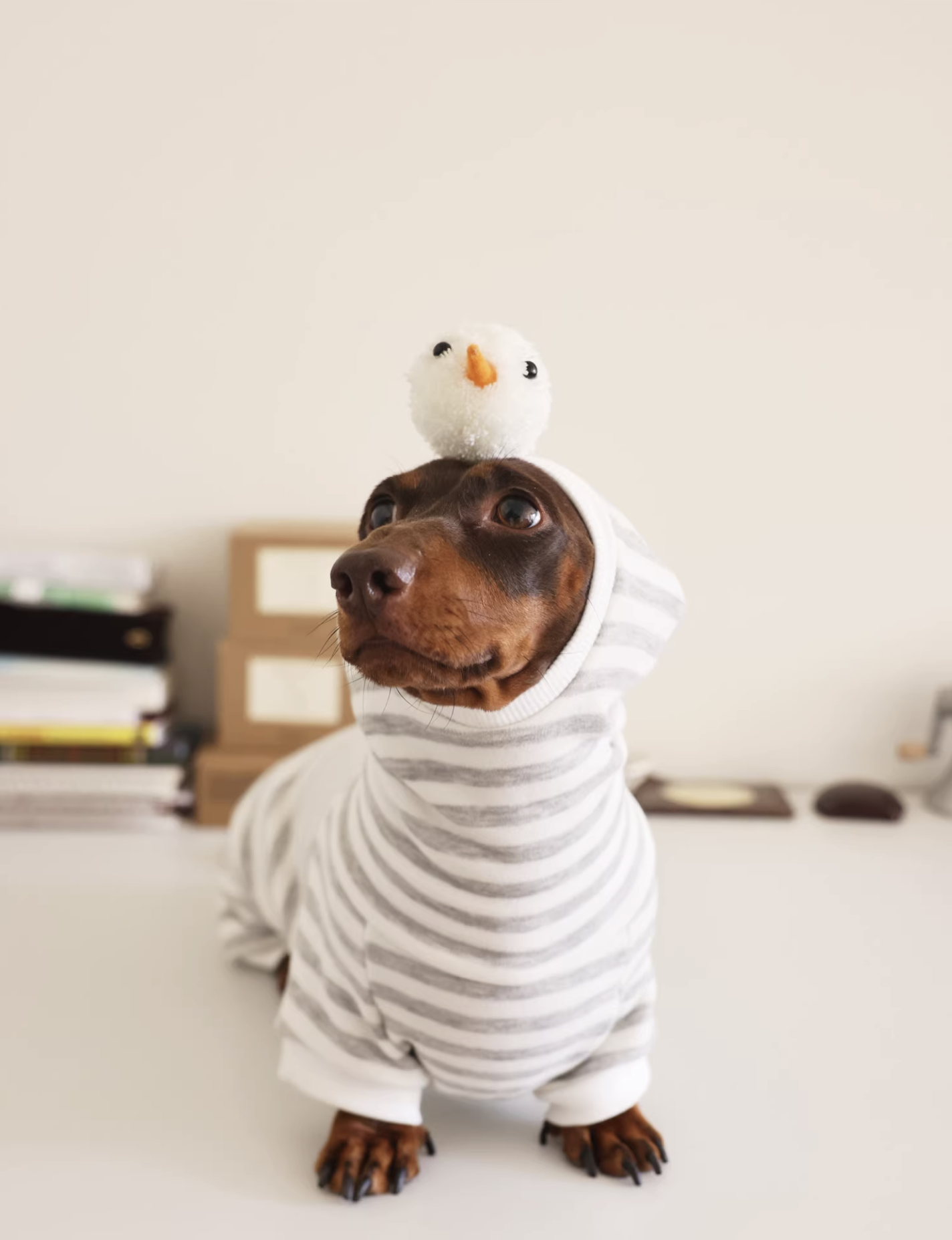 Snowman Striped  Hoody Romper