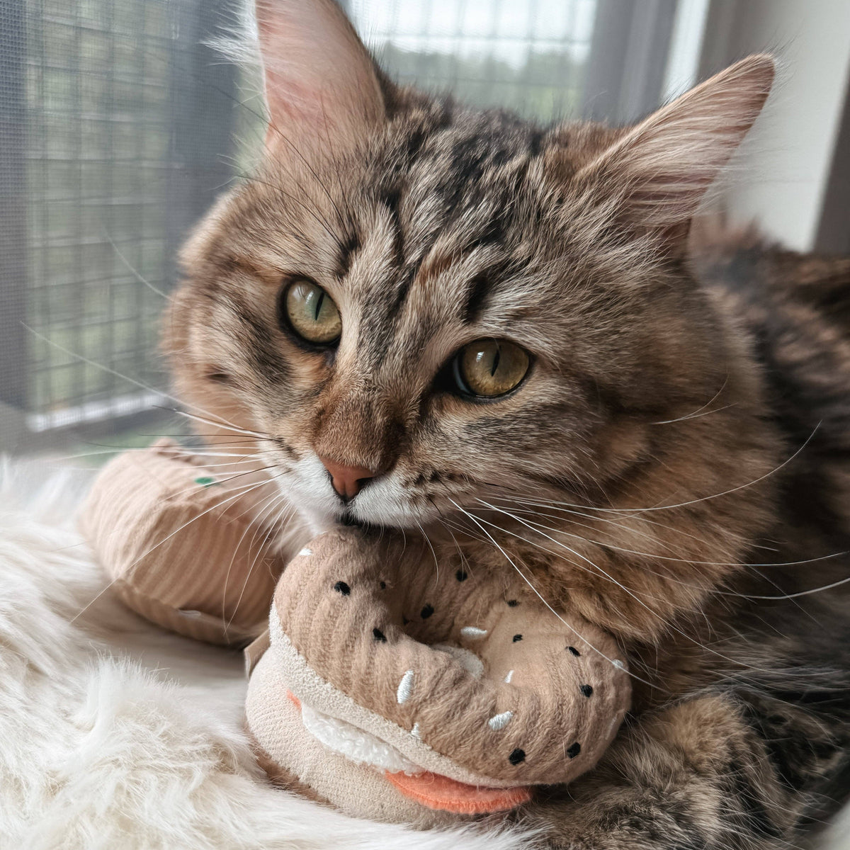 Kitty Pizza & Bagel Set | Cat Toy