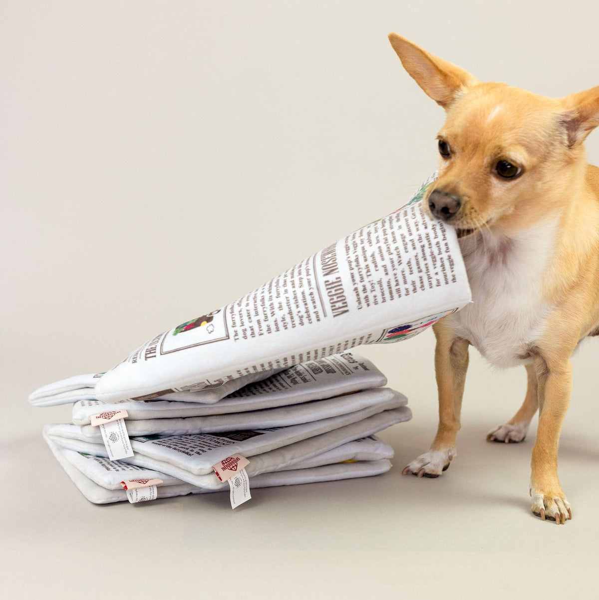 Newspaper Issue No. 2 Nosework Toy