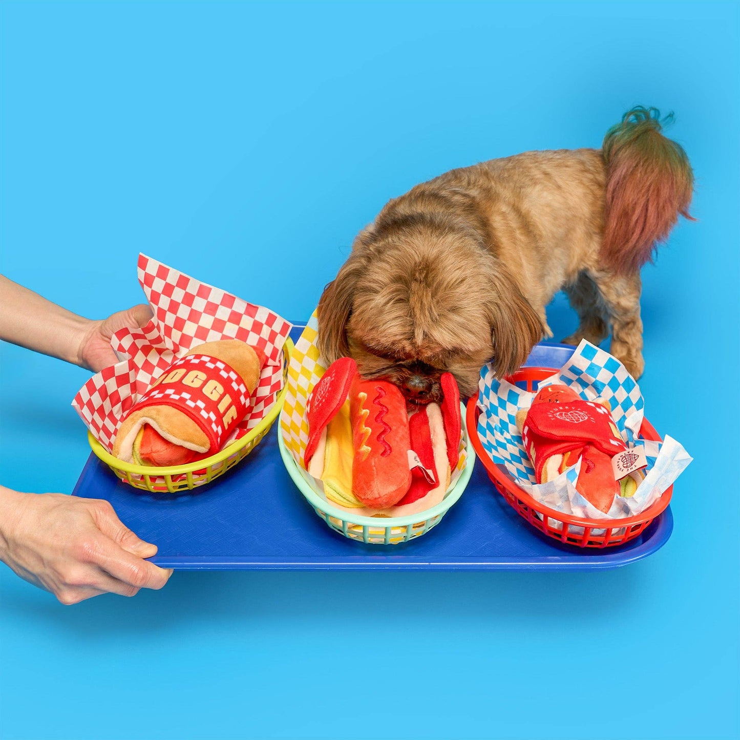 Hot Doggie Nosework Toy