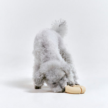 Gori U-Ring Puzzle Toy