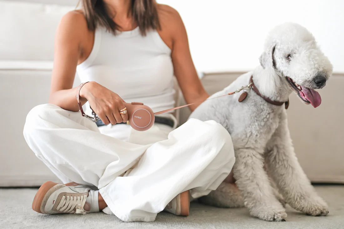 Fureal Chocoleash Lite Retractable Pet Leash