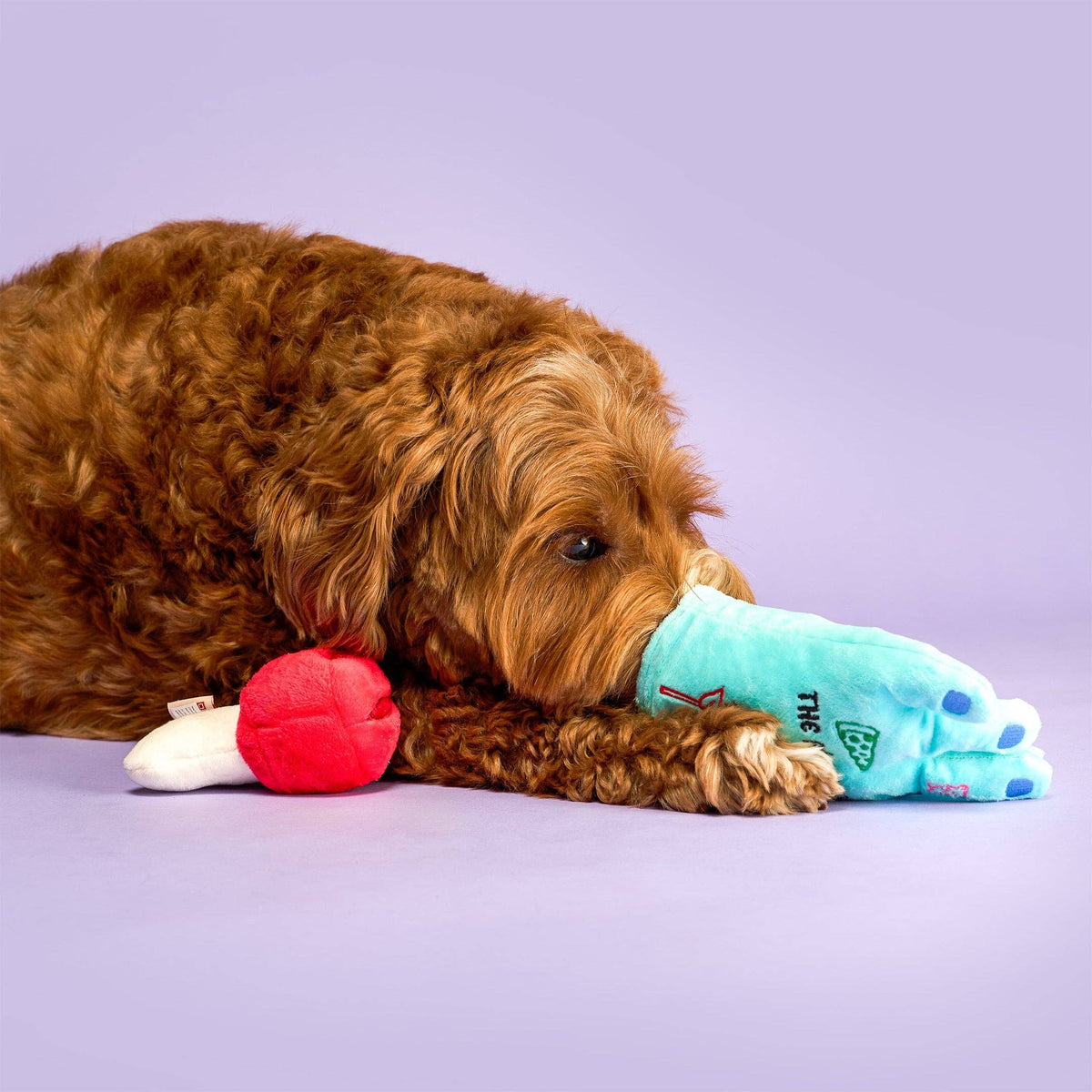Lost Hand Nosework Toy
