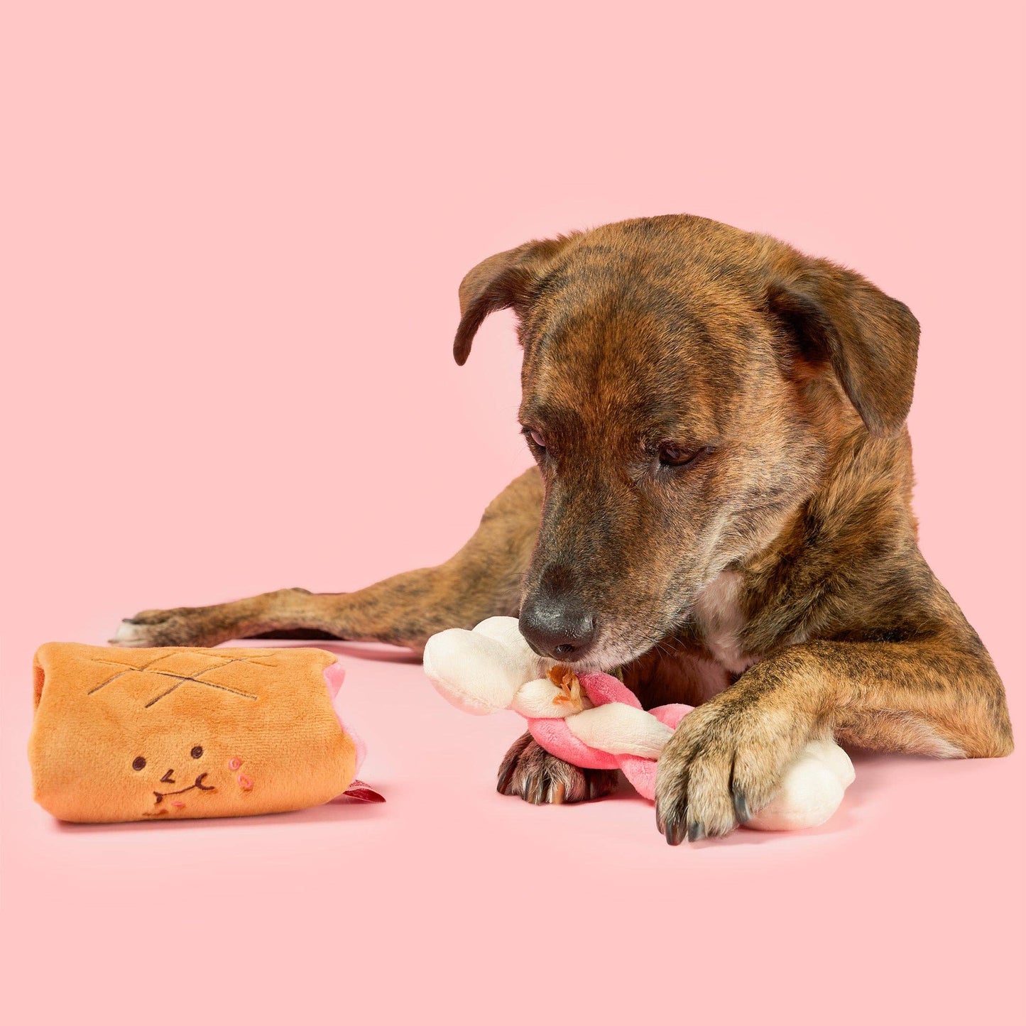 FurryFolks Bone Appétit Nosework Toy