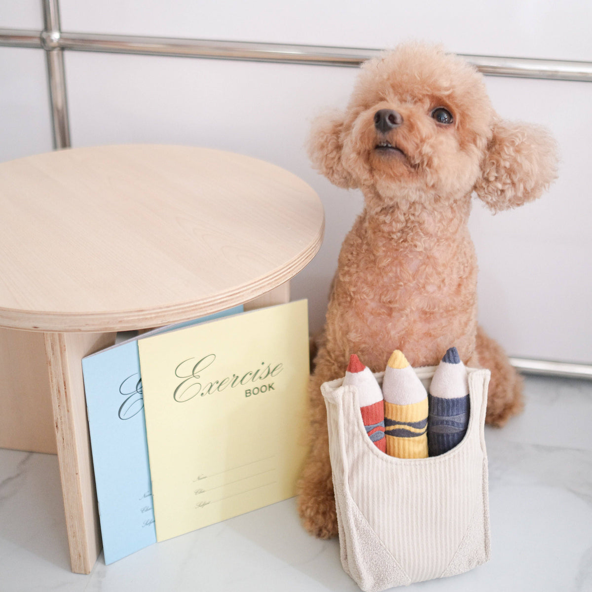 Crayons // Enrichment Toy | Squeaky + Snuffle Set