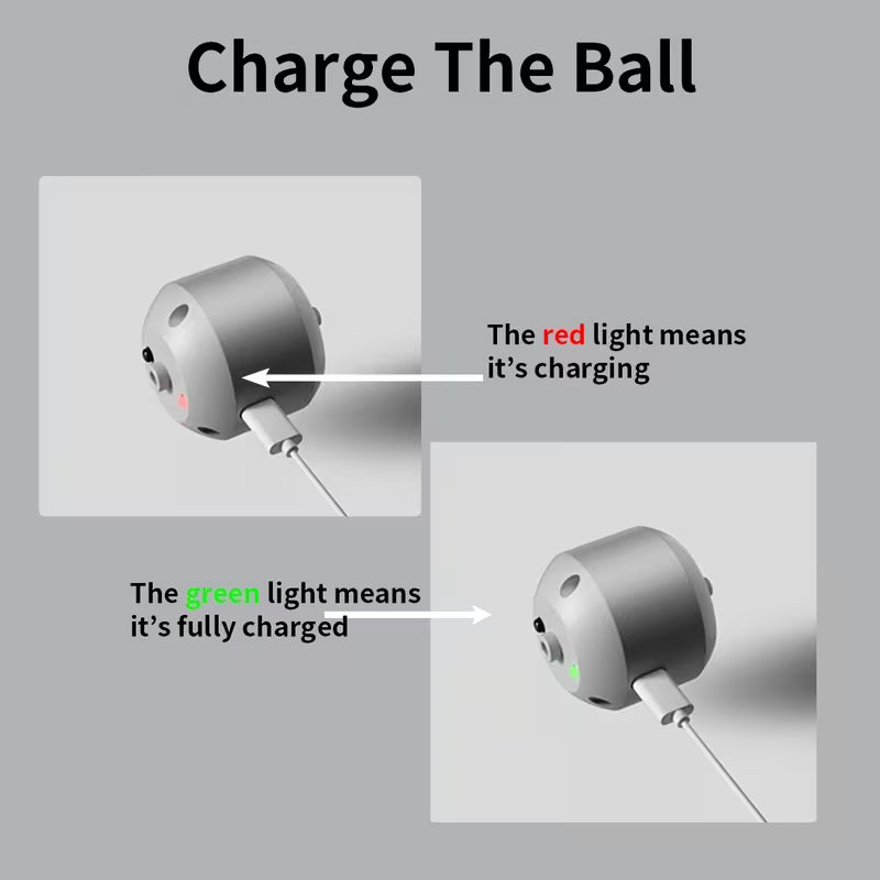 PetGravity Auto Bouncing Ball