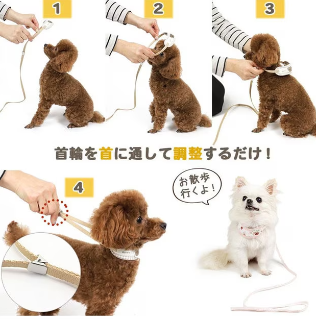 Collar with Leash Little Berry