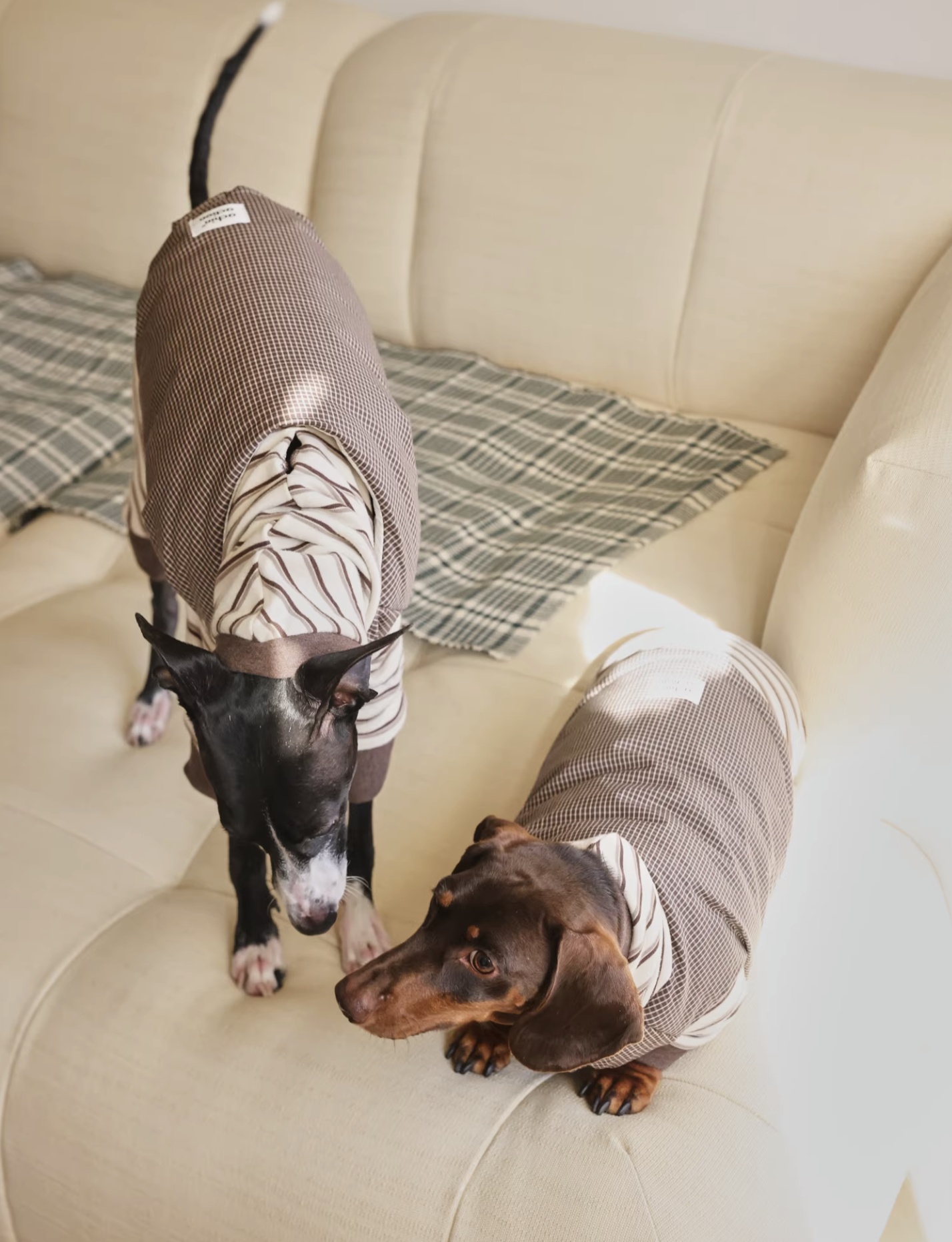 3M Short Cotton Jacket Vest