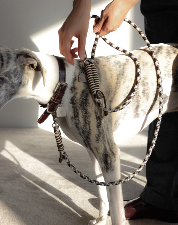 Diamond Lattice Braided Leash with Beads